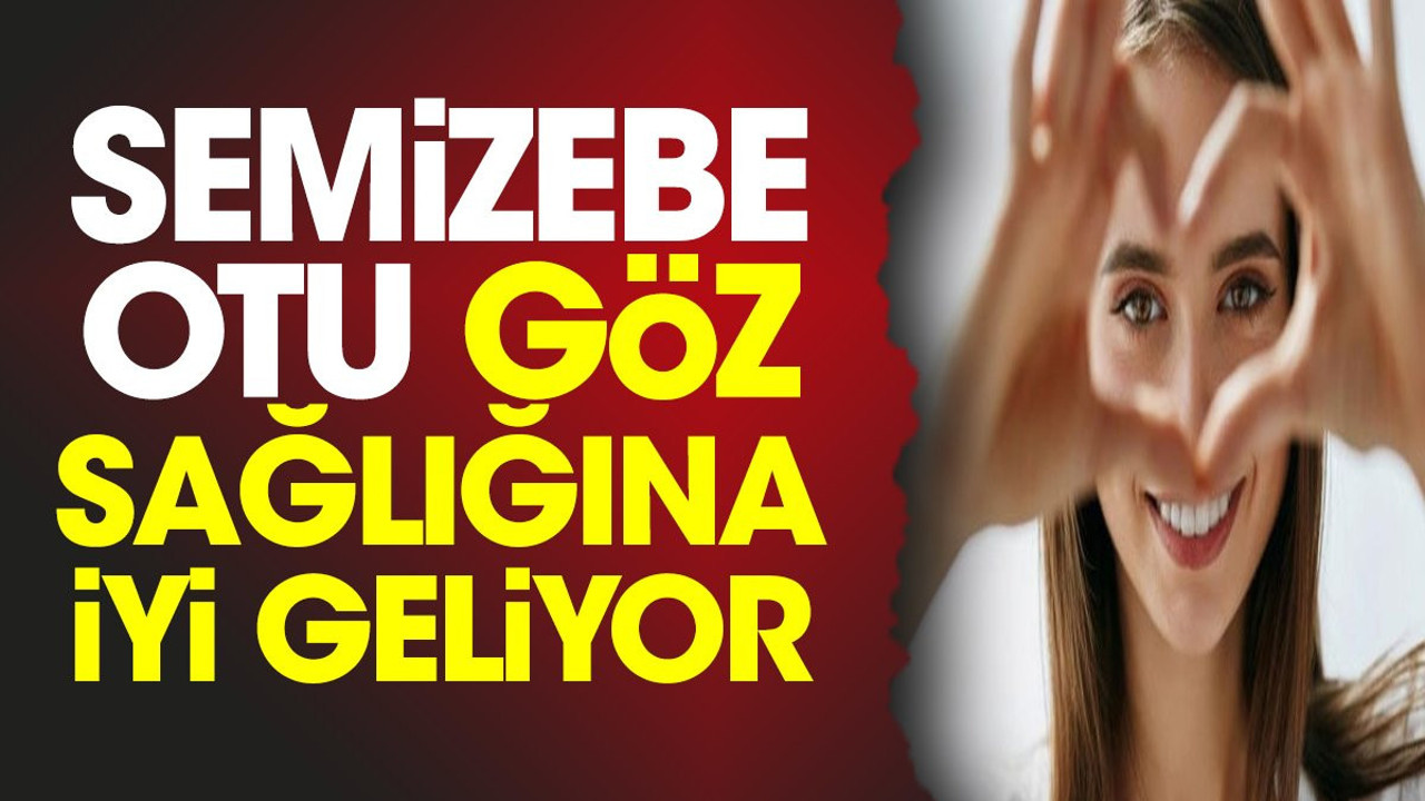 Göz sağlığına iyi gelen ot