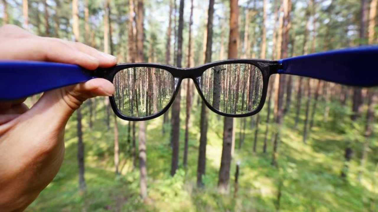 7 besini tüketin. Şahin gibi göreceksiniz