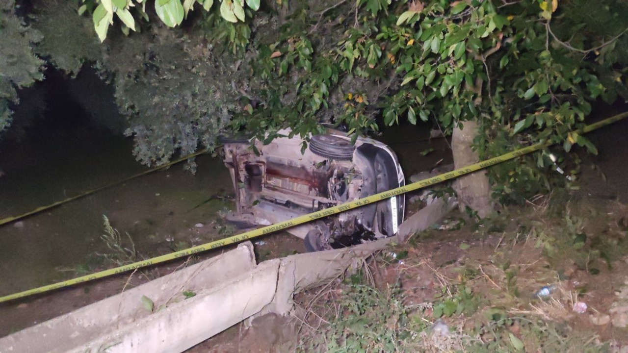 Yola fırlayan domuza çarpan araç zeytinliğe uçtu