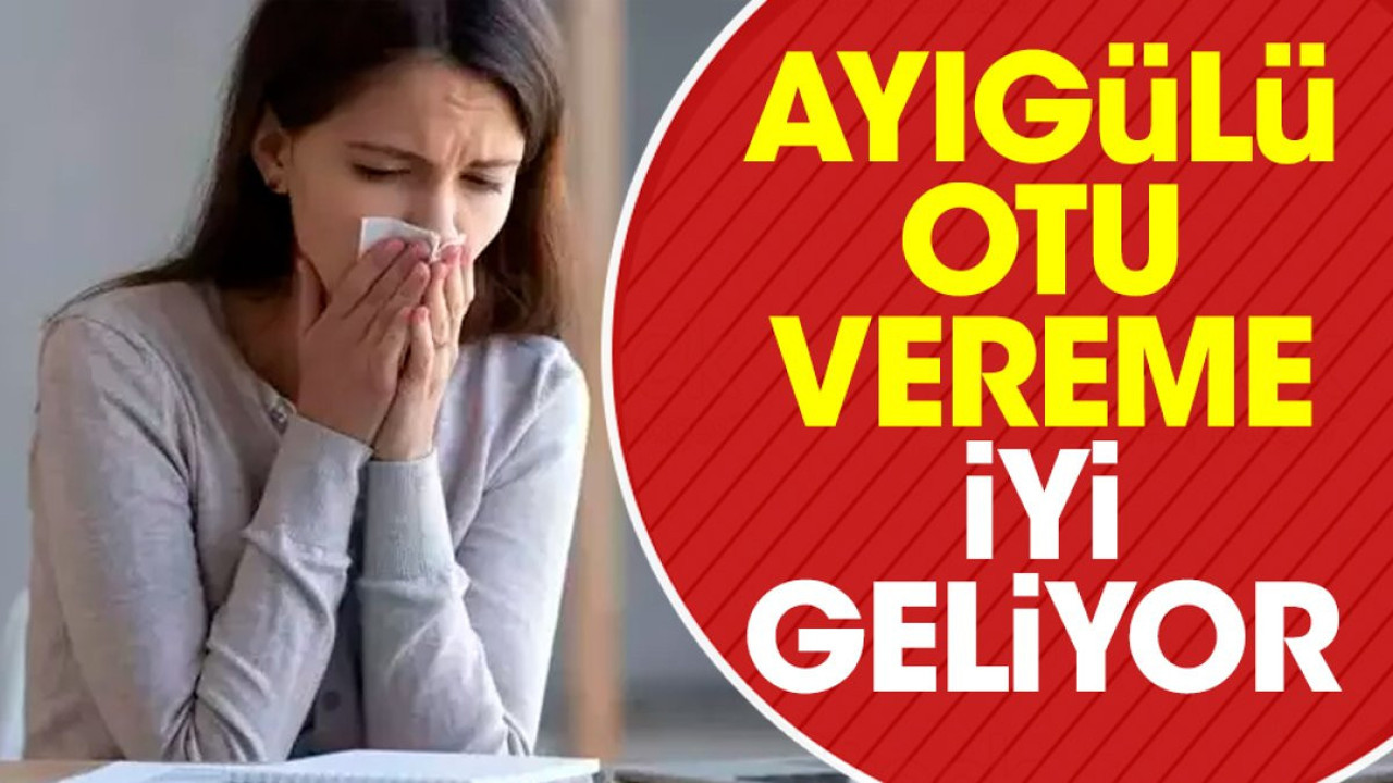 Vereme iyi gelen ot (18 Ekim 2023)