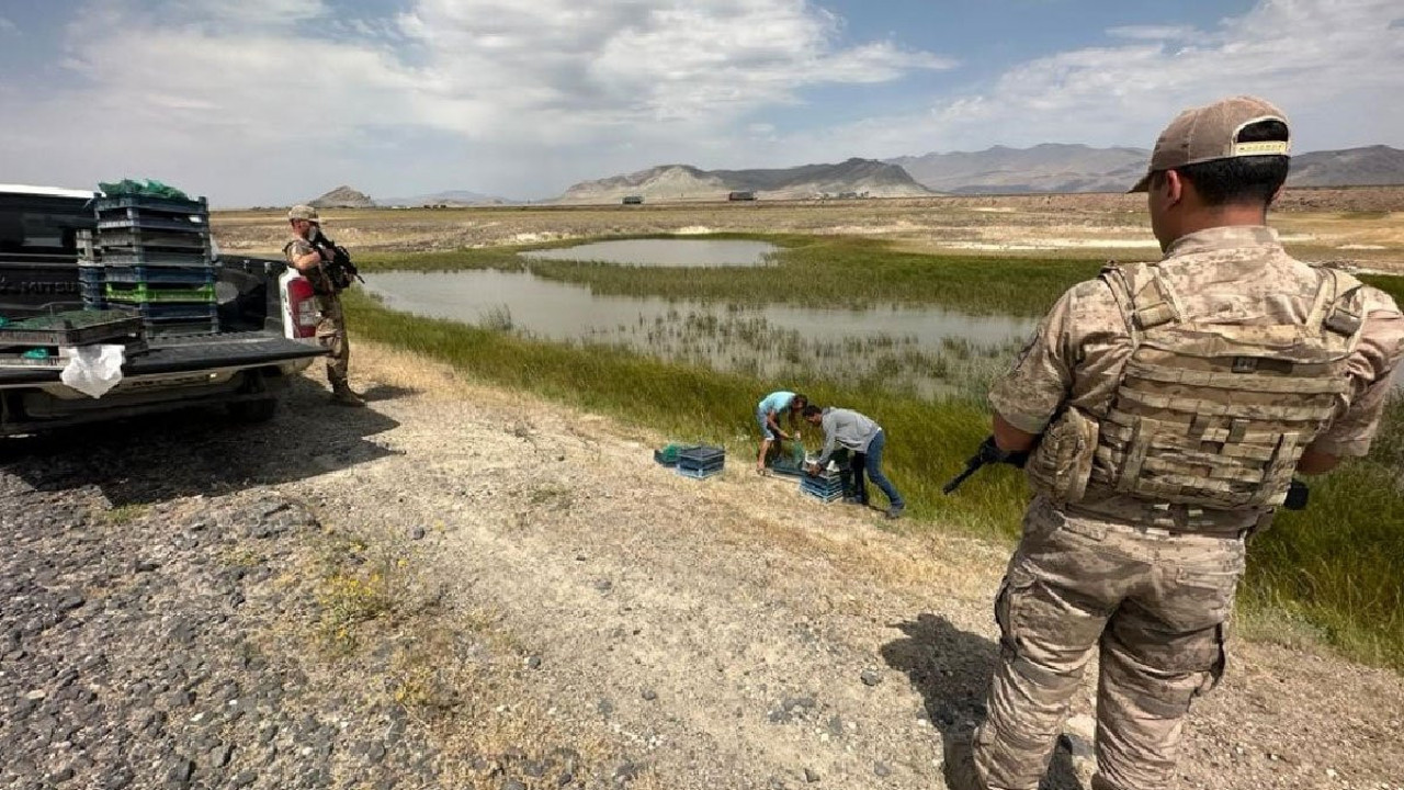 Kurbağa kaçakçılarına 1 milyon 465 bin 890 TL'lik rekor ceza