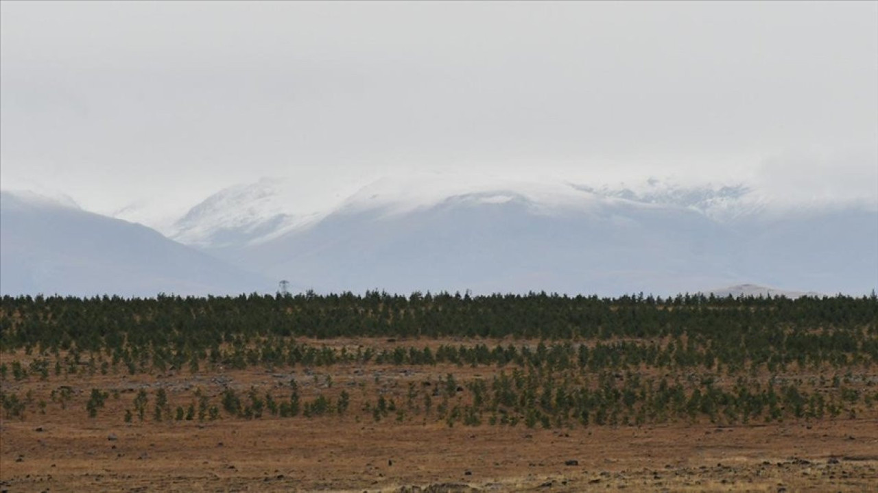 Kars'ın Sarıkamış ve Selim ilçelerinde yüksek tepeler beyaza büründü