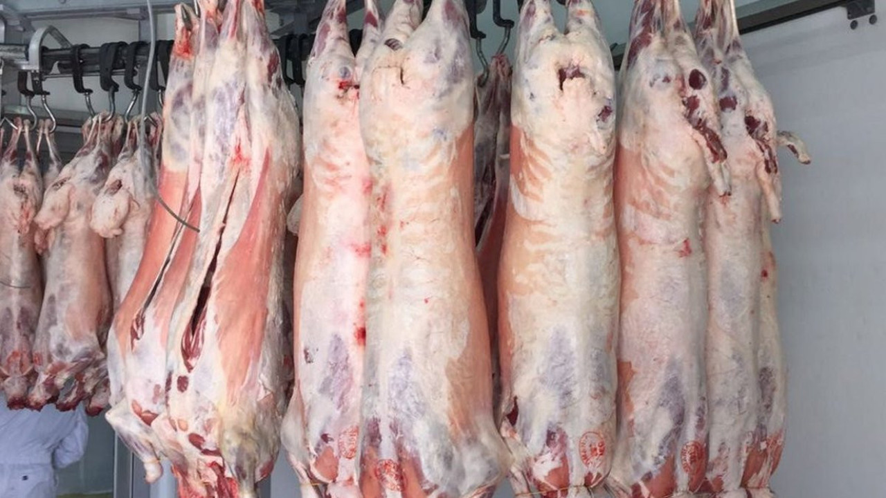 İthal ette yaşanan skandalı CHP'li Karabat açıkladı. "Et ithalatında rant sistemi kuruldu"