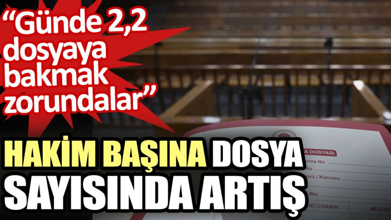 Hakim başına dosya sayısında artış. Günde 2,2 dosyaya bakmak zorundalar