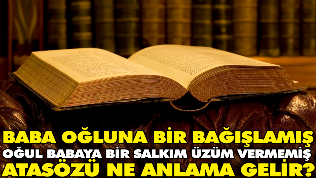 Baba oğluna bir bağışlamış oğul babaya bir salkım üzüm vermemiş atasözü ne anlama gelir?