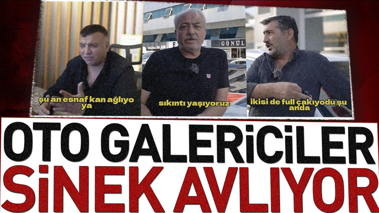 Oto galericiler sinek avlıyor