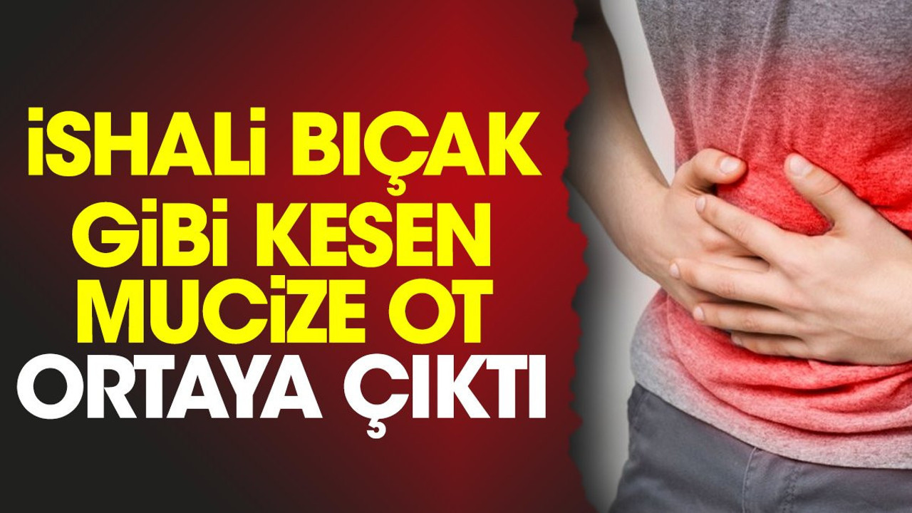 İshali bıçak gibi kesen mucize ot ortaya çıktı