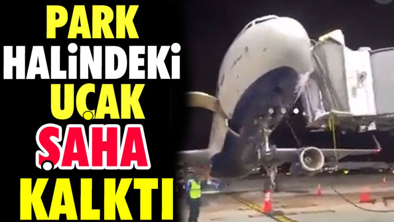 Park halindeki uçak şaha kalktı
