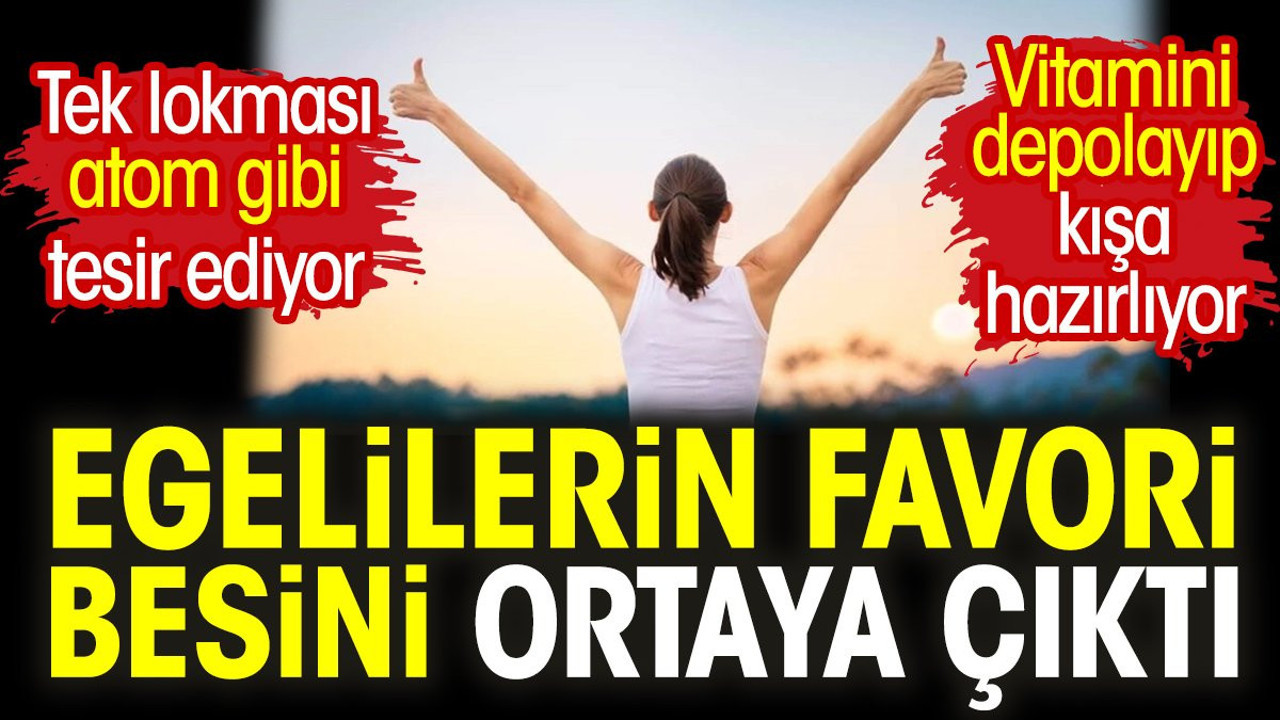 Egelilerin favori besini ortaya çıktı. Tek lokması atom gibi tesir ediyor. Vitamini depolayıp kışa hazırlıyor