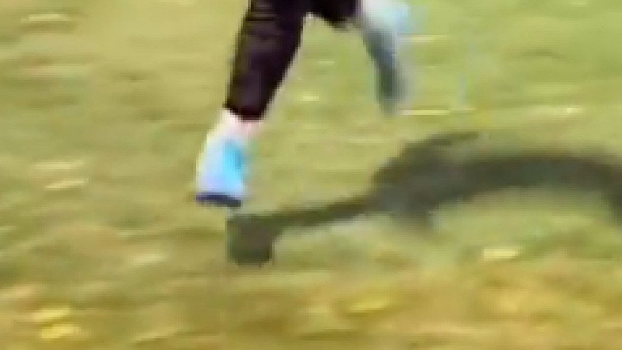 Havada süzülüyor gibi görünüyor ama...