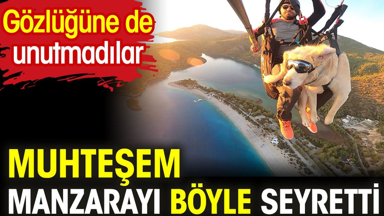 Muhteşem manzarayı böyle seyretti. Köpeğiyle yamaç paraşütü atlayışı yaptı