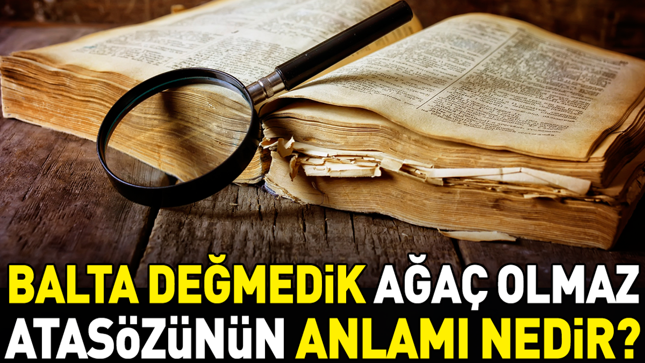 Balta değmedik ağaç olmaz atasözünün anlamı nedir?