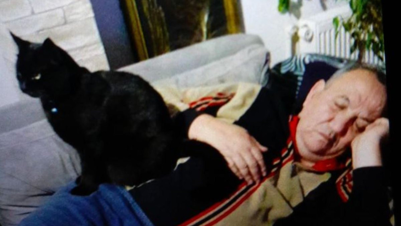 Kedilere mama verirken canından oldu