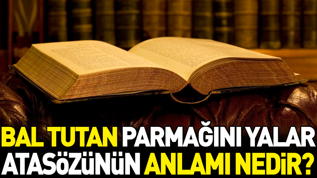 Bal tutan parmağını yalar atasözünün anlamı nedir?