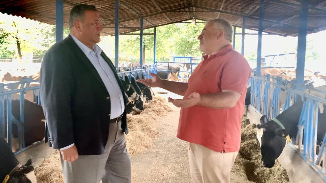 Besici yem almak için hayvanını satar hale geldi. Her gün daha fazla zarar ediyorlar