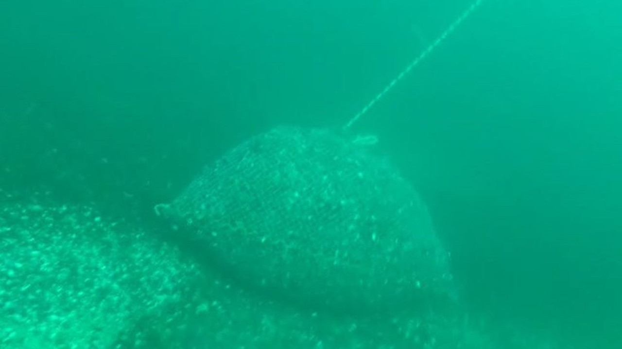 Kaçak avlanmış, denize zulalanmıştı. 1,5 ton midye ele geçirildi