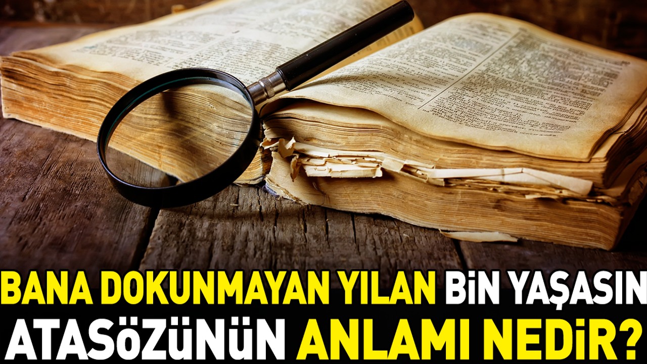 Bana dokunmayan yılan bin yaşasın atasözünün anlamı nedir?