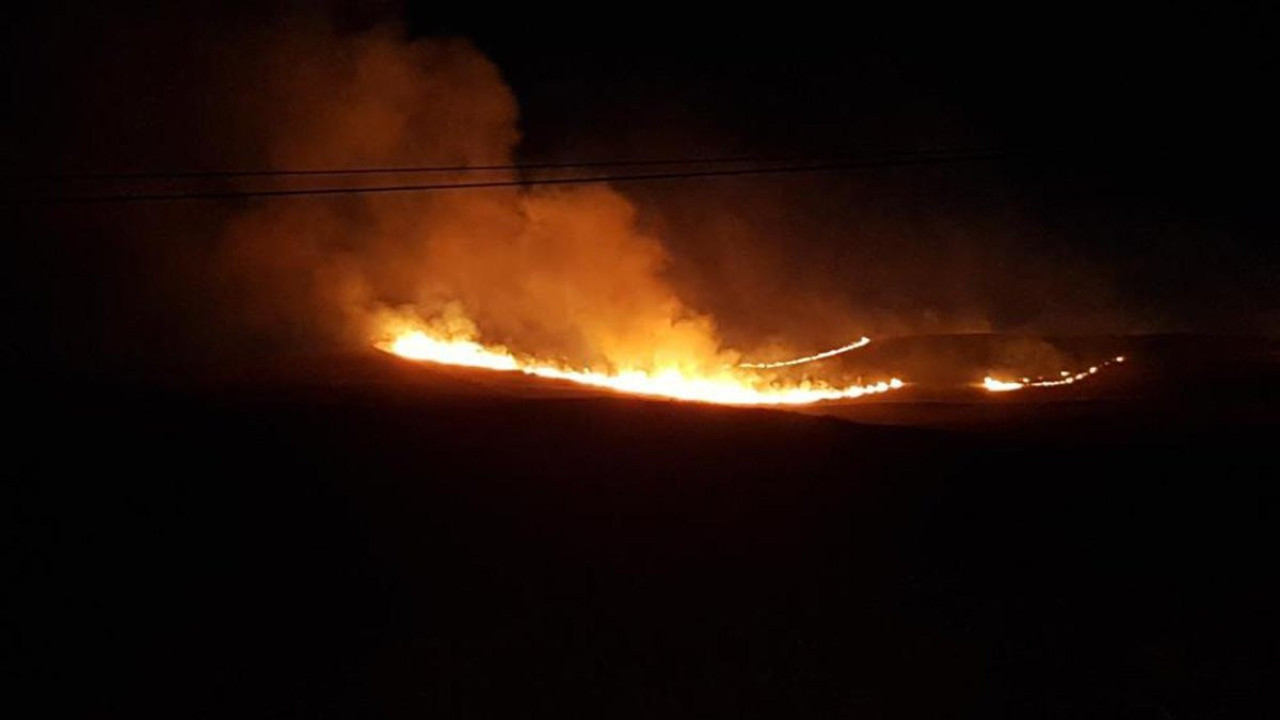Manisa'da ormanlık alanda yangın