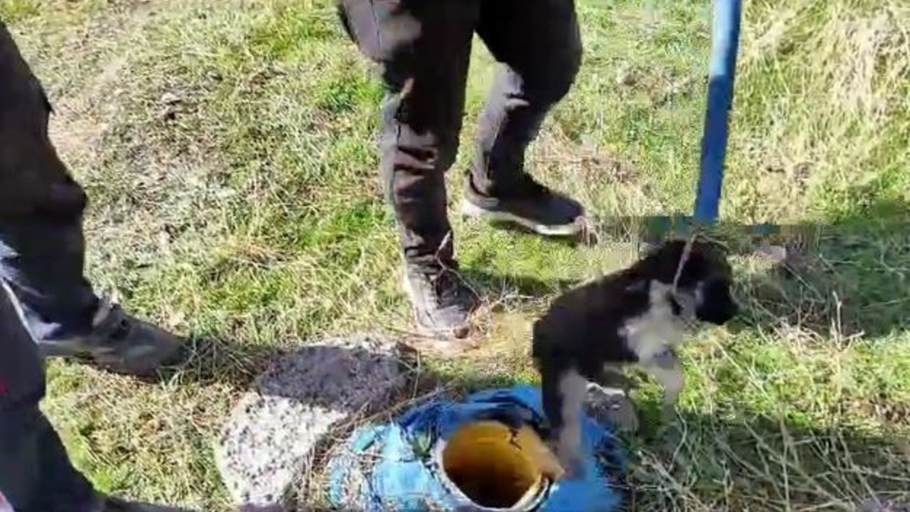 Yavru köpek sondaj kuyusuna düştü. İtfaiye güçlükle kurtarıldı