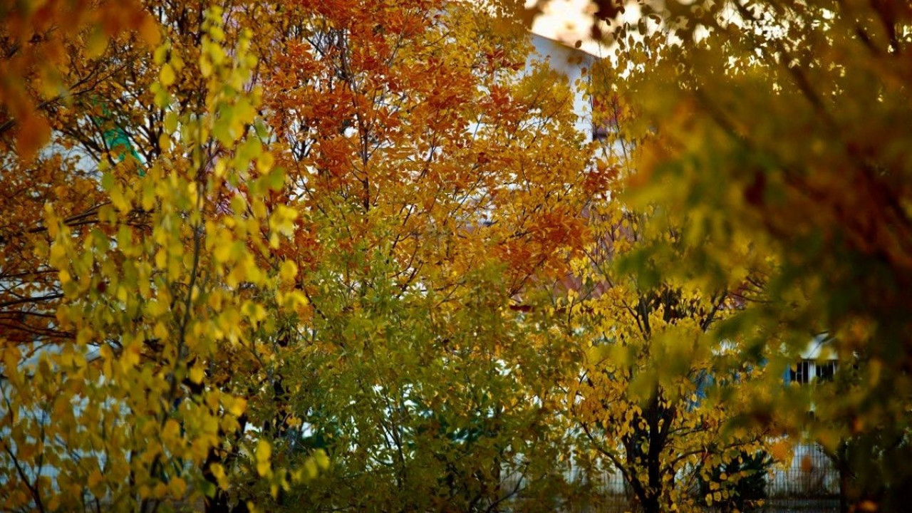 Sonbahar Ağrı'da karpostallık görüntülere sahne oldu. Kamerasını alan doğaya koştu