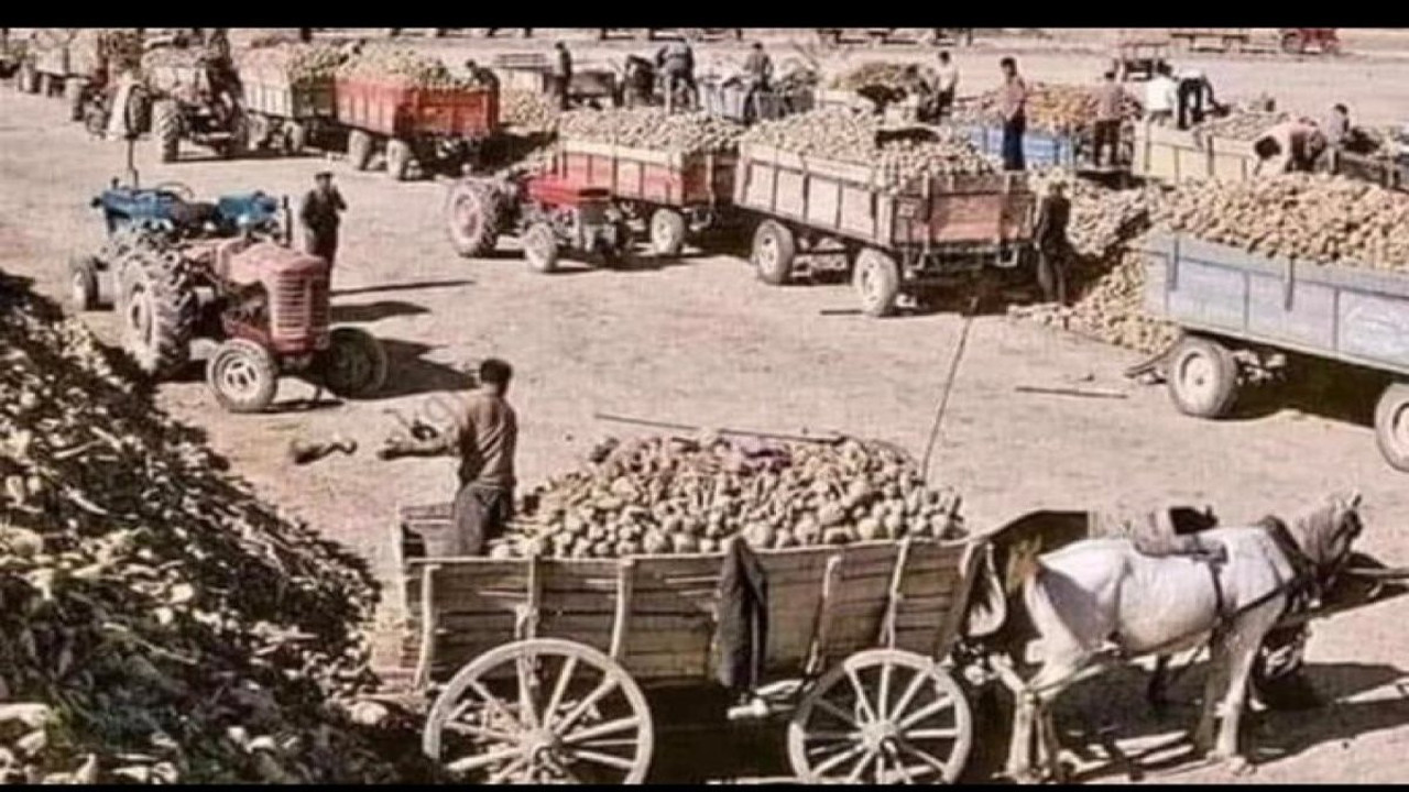 Sosyal medyada 'yerli ve milli' tepkisi: Şeker fabrikalarına at arabalarıyla şeker pancarı taşırken bile daha zengindi bu ülke