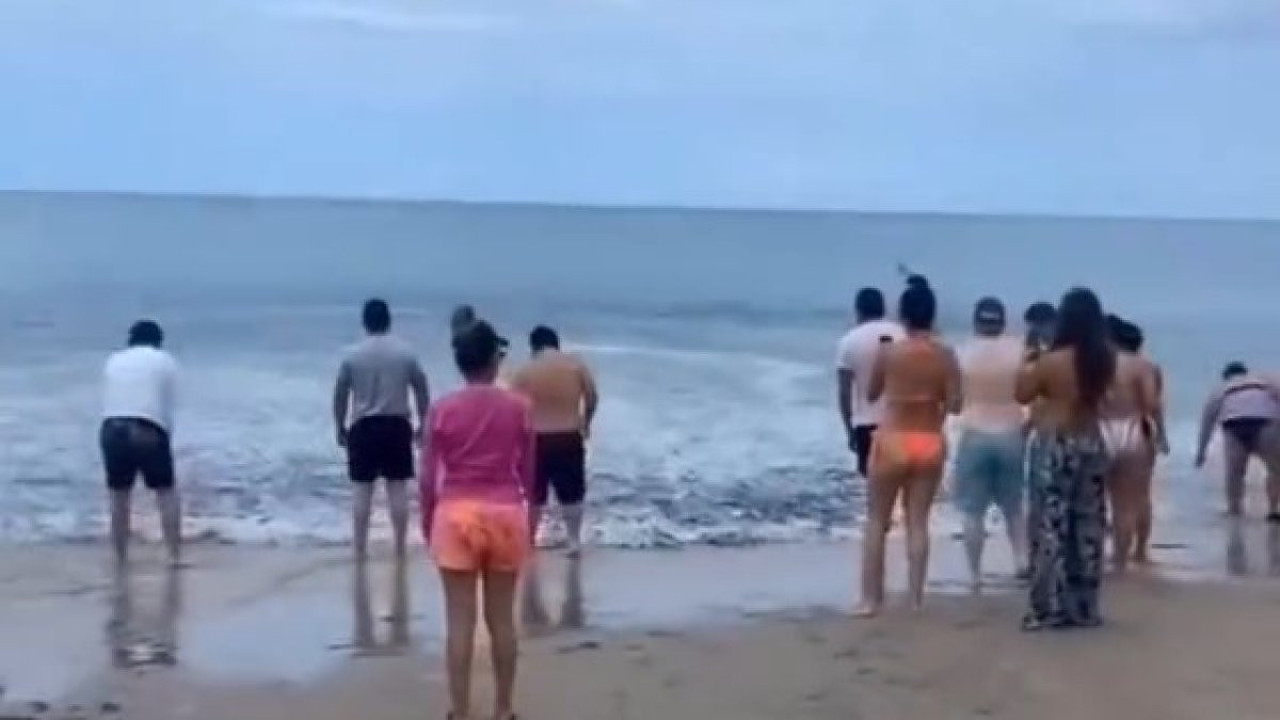 Binlercesi kıyıya vurdu. Sahildekiler şaşkınlıktan ne yapacağını bilemedi