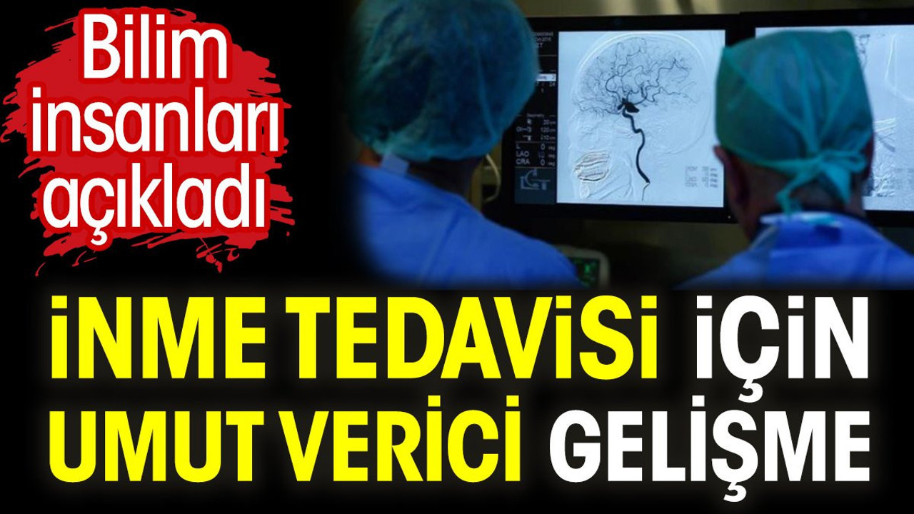 İnme tedavisi için umut verici gelişme. Bilim insanları açıkladı