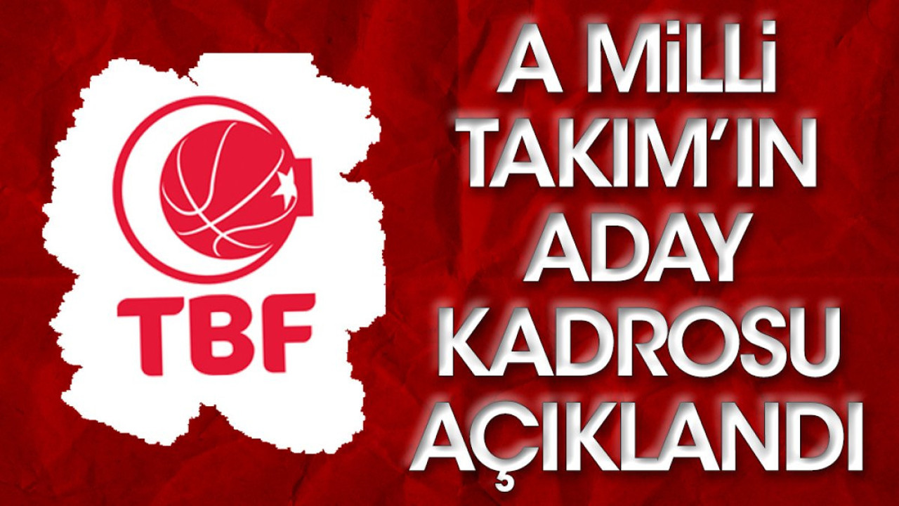 A Milli Takım'ın Avrupa Şampiyonası aday kadrosu açıklandı (30 Ekim 2023)