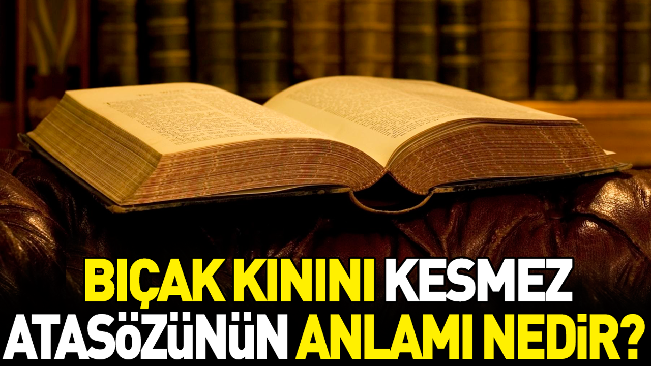 Bıçak kınını kesmez atasözünün anlamı nedir?