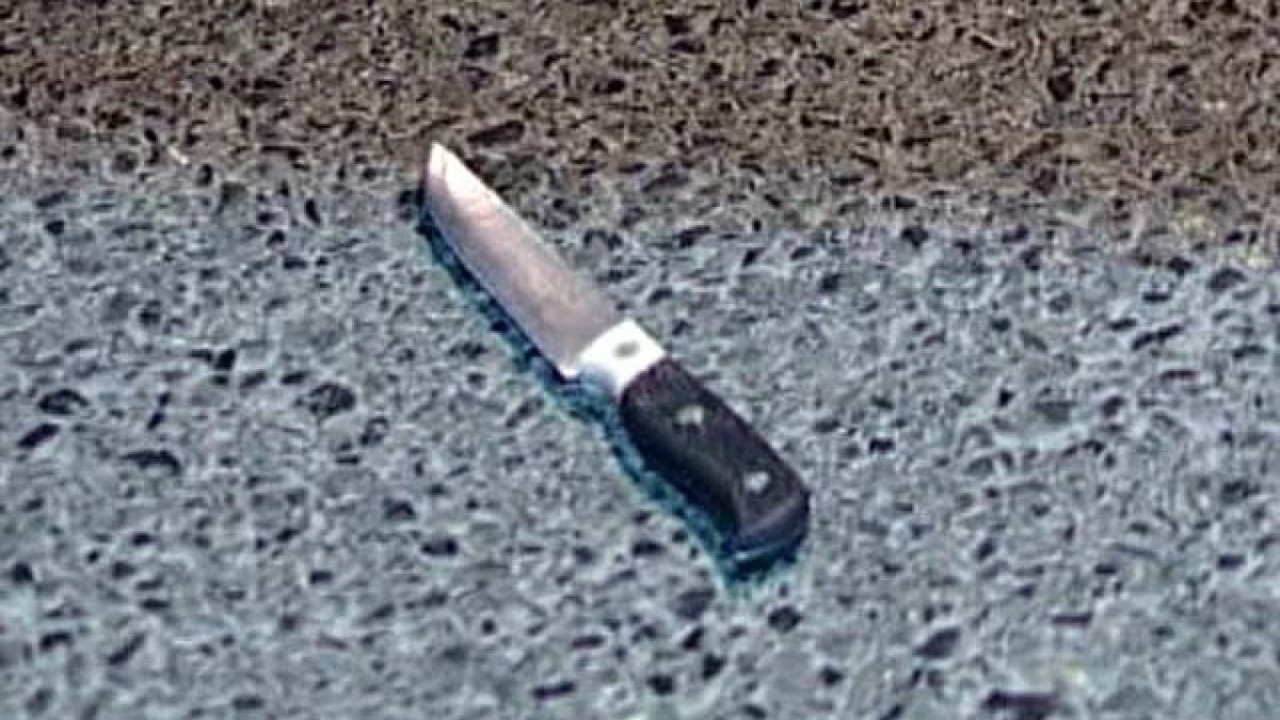 Siirt'te iki aile arasında sopalı bıçaklı kavga