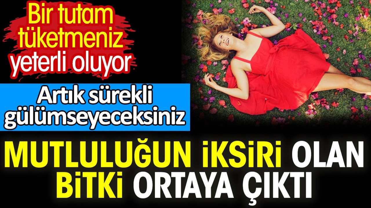 Bir tutam tüketmeniz yeterli oluyor Artık sürekli gülümseyeceksiniz Mutluluğun iksiri olan bitki ortaya çıktı