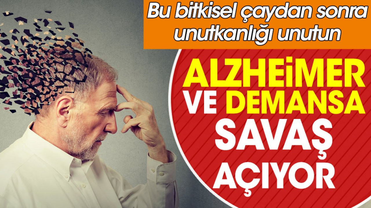 Alzheimer ve demansa savaş açıyor. Bu bitkisel çaydan sonra unutkanlığı unutun
