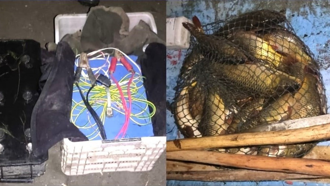 Elektrikli kaçak balık avı yapan iki kişi suçüstü yakalandı