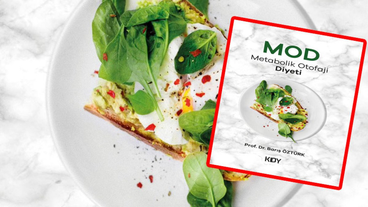 Yaşamın yeni MOD'u