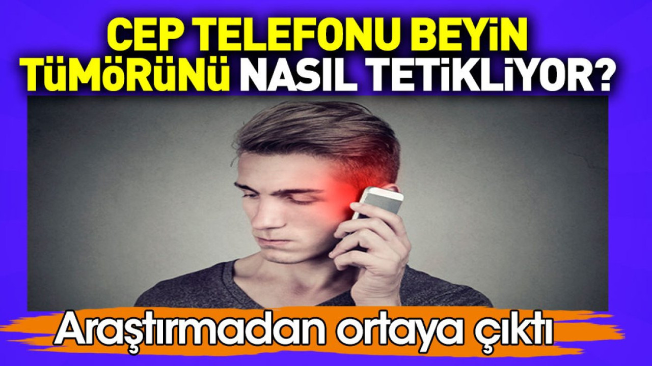 Cep telefonu beyin tümörünü nasıl tetikliyor? Araştırmadan ortaya çıktı