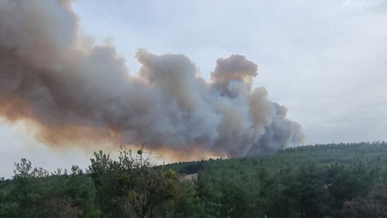 Çanakkale'de orman yangını (04 Kasım 2023)