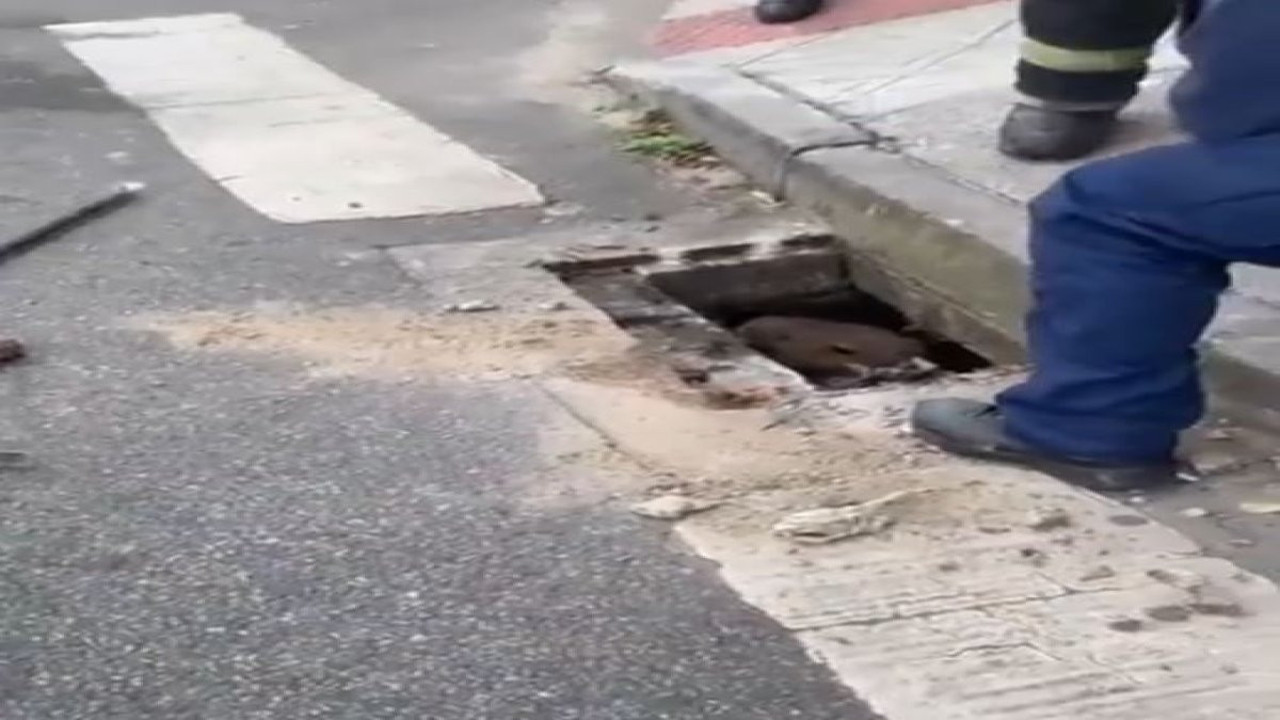 İnleme sesini duyanlar mazgala bakınca geri geri kaçtı. 1 metre uzunluğunda 50 kilo ağırlığındaki kapabari korkuttu