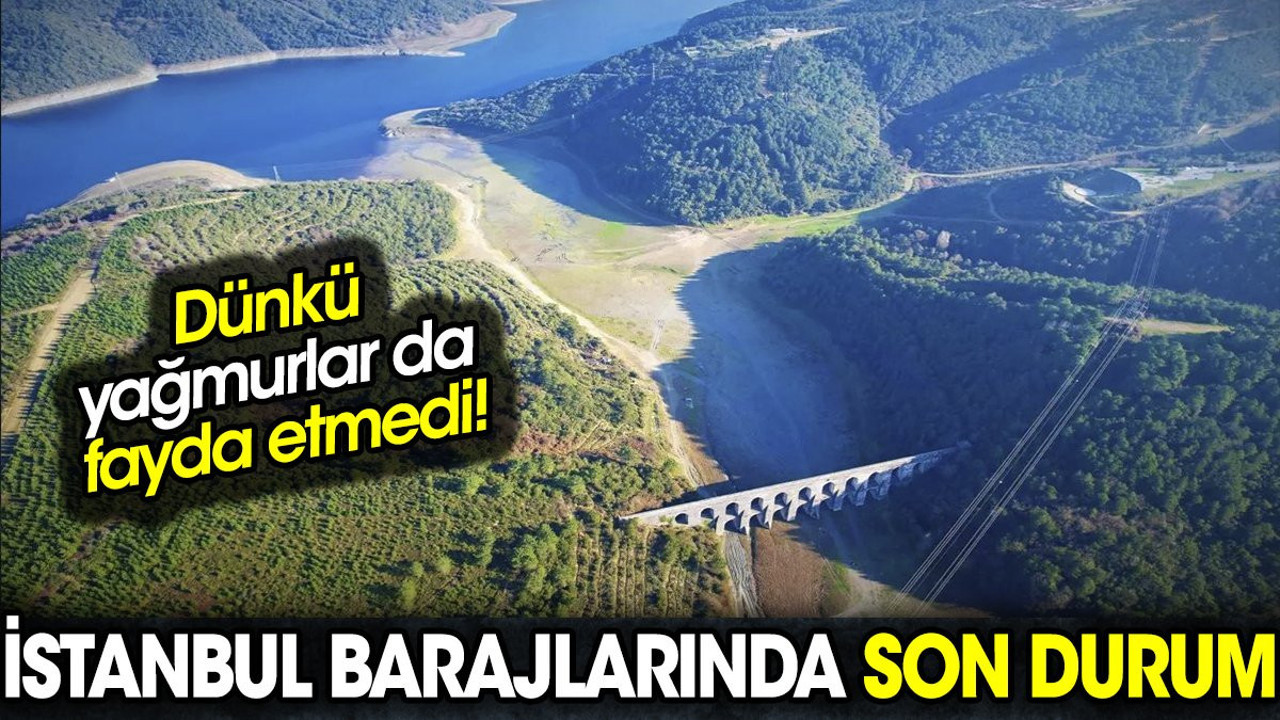 Dünkü yağış da fayda etmedi, İstanbul'un barajlarında son durum
