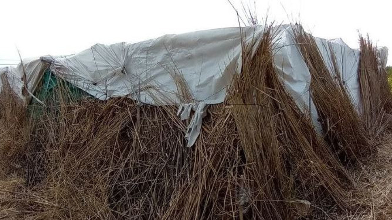 SİT alanına çadır kurdular. Çadırın içine girenler gözlerine inanamadı