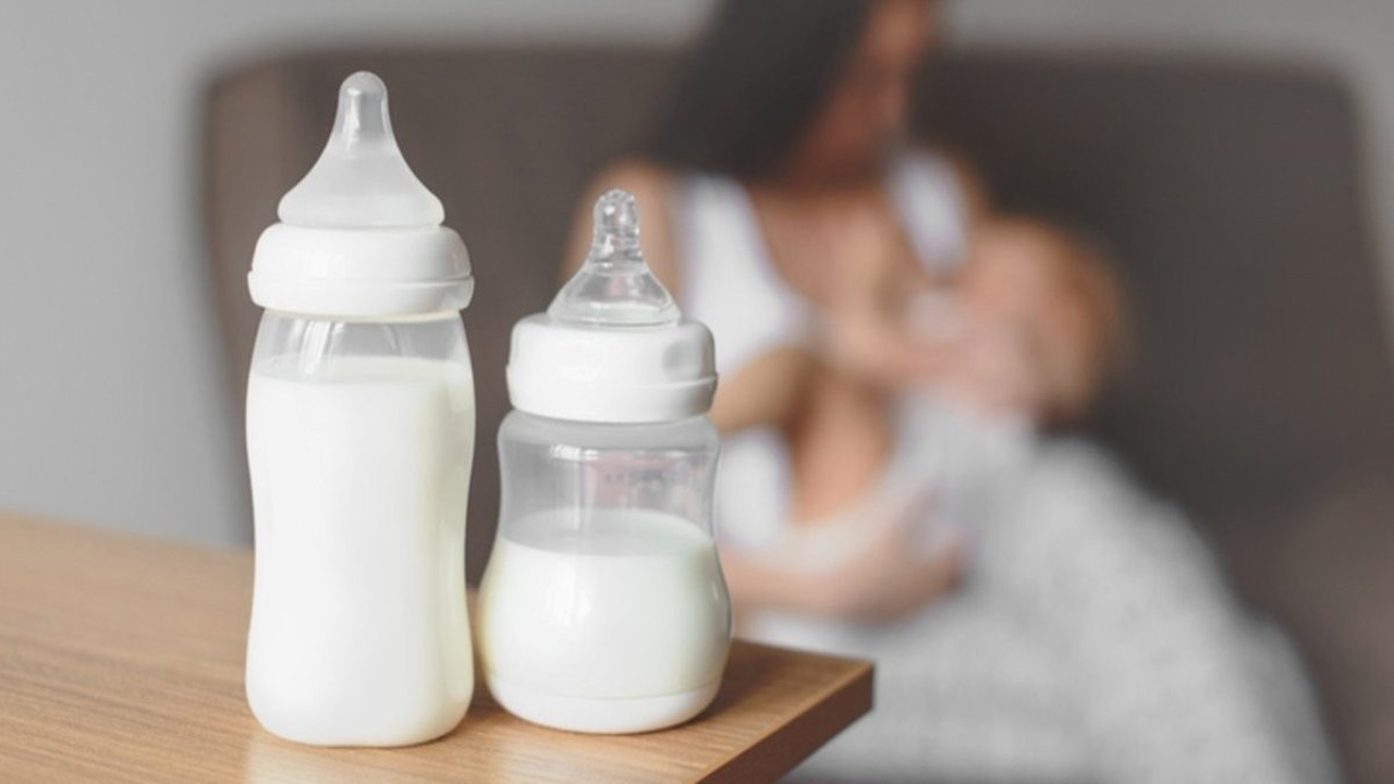 Dünyanın en sağlıklı sütü nasıl artırılır