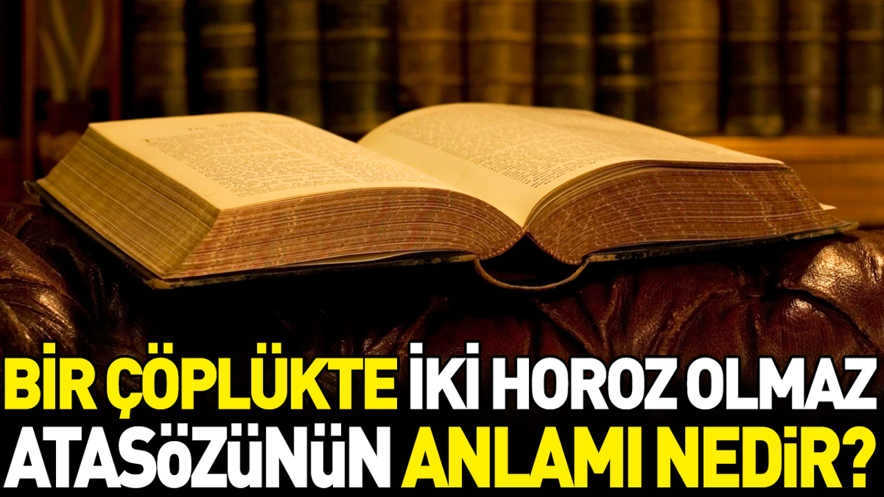 Bir çöplükte iki horoz olmaz atasözünün anlamı nedir?