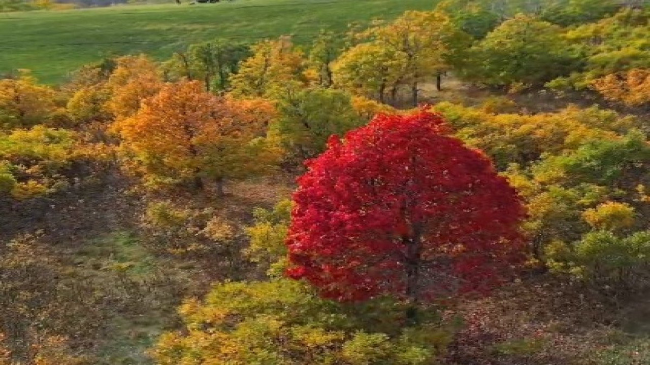 Bingöl'de sonbahar güzel manzaraları ortaya çıkardı