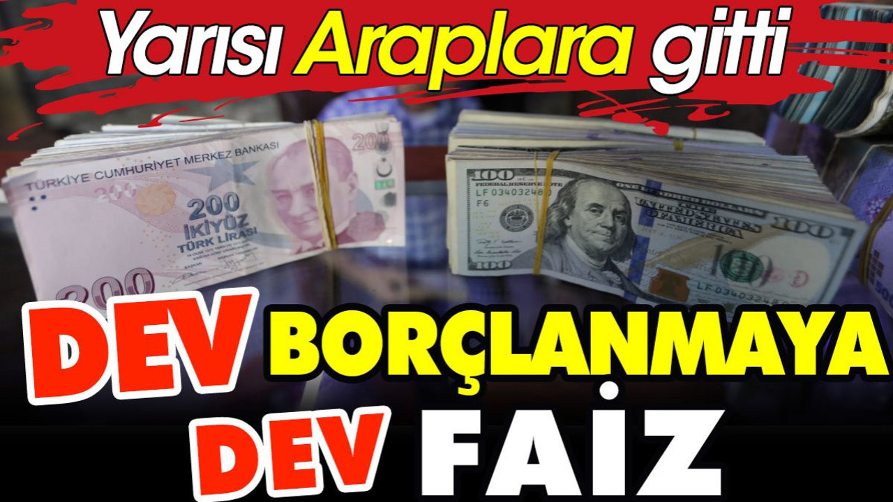 Dev borçlanmaya dev faiz. Yarısı Araplara gitti