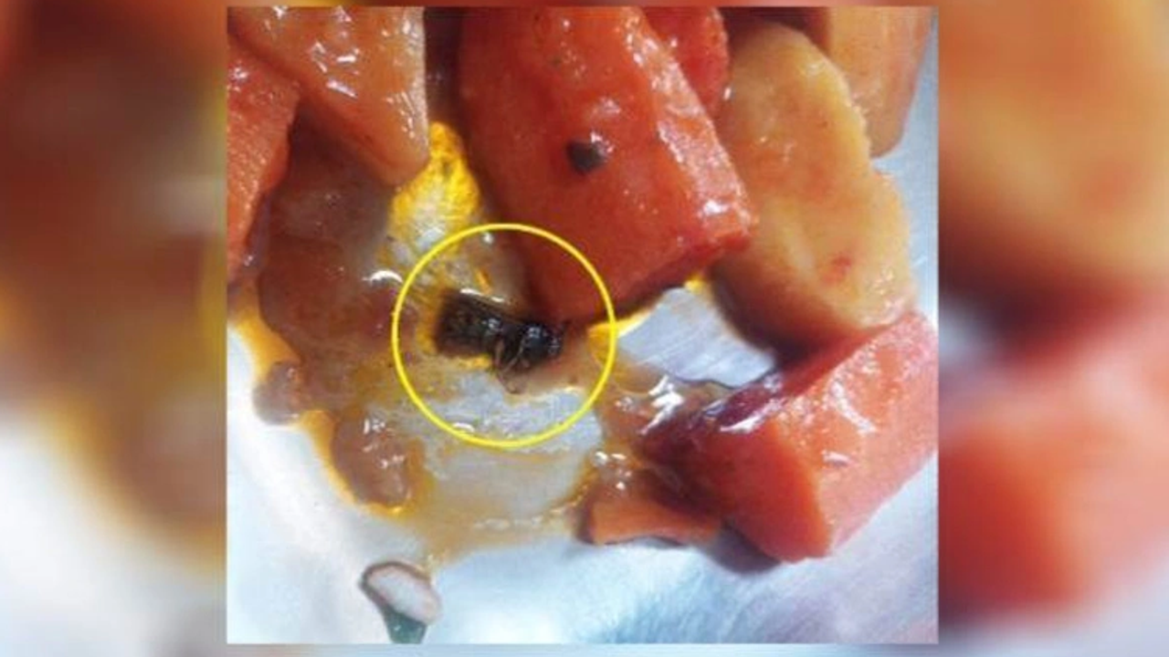 KYK yurdunda skandal! Öğrencinin yemeğinden çıktı