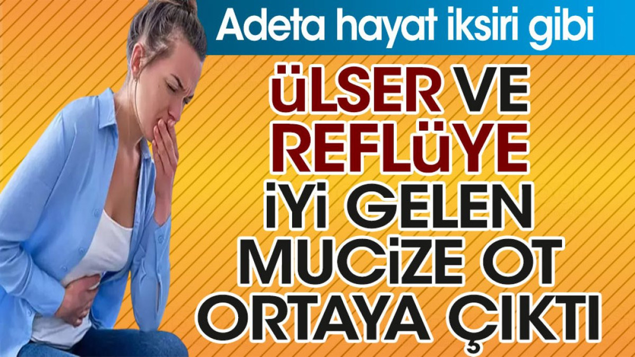 Ülser ve reflüye iyi gelen mucize ot ortaya çıktı. Adeta hayat iksiri gibi
