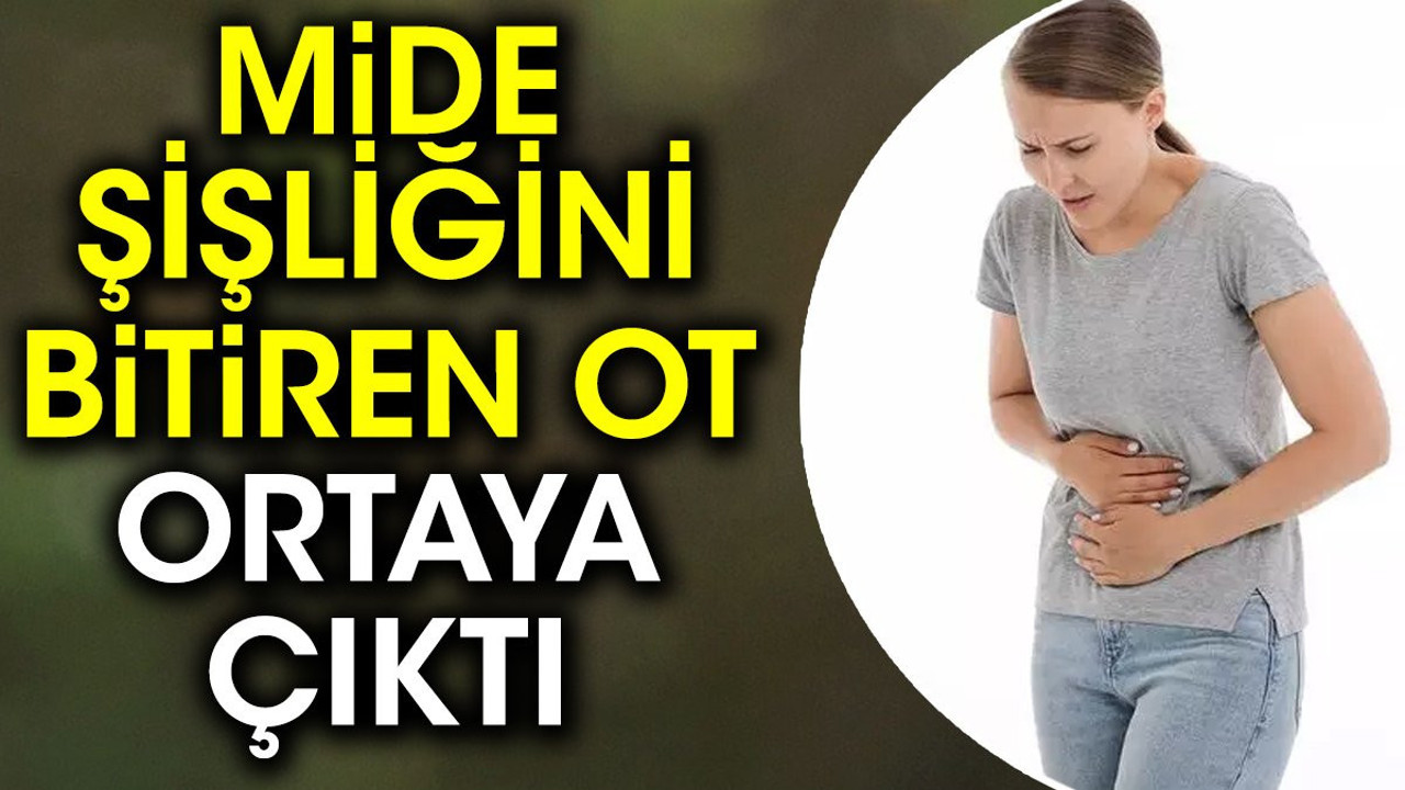 Mide şişliğini bitiren ot ortaya çıktı