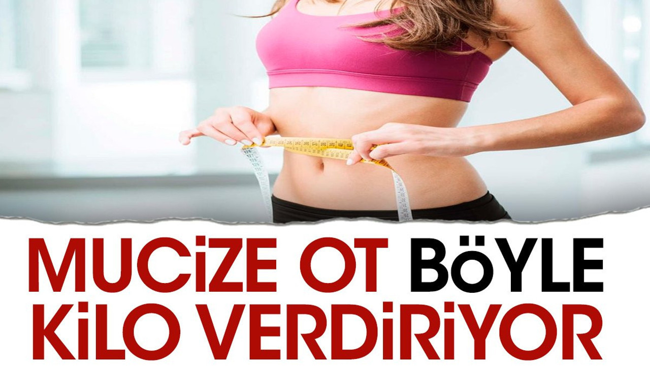 Mucize ot böyle kilo verdiriyor
