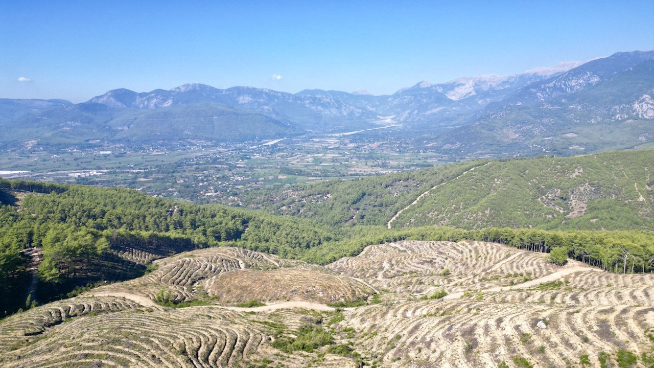 Cumhuriyet’in 100. yılında 22 bin fidan EPAL Türkiye Ormanları ile yaşam buldu