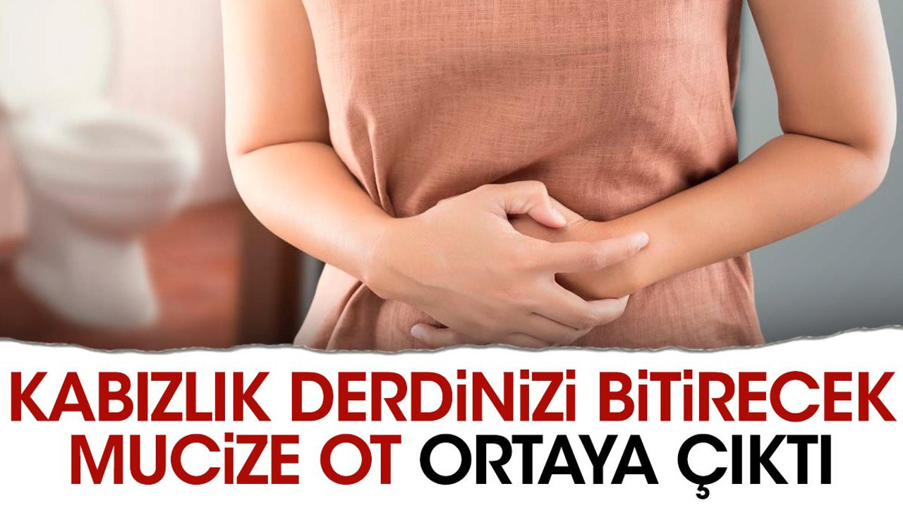 Kabızlık derdinizi bitirecek mucize ot ortaya çıktı