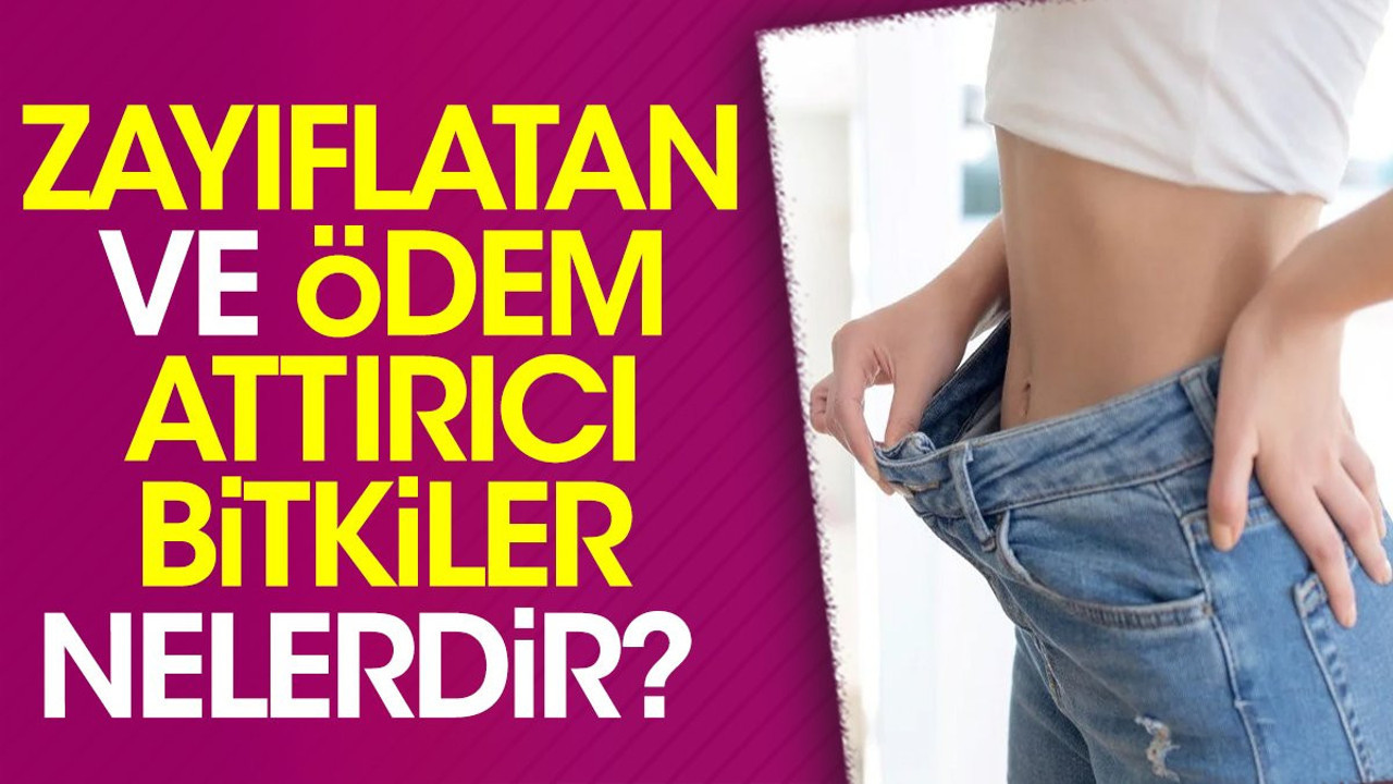 Zayıflatan ve ödem attırıcı bitkiler nelerdir? İşte tam listesi…